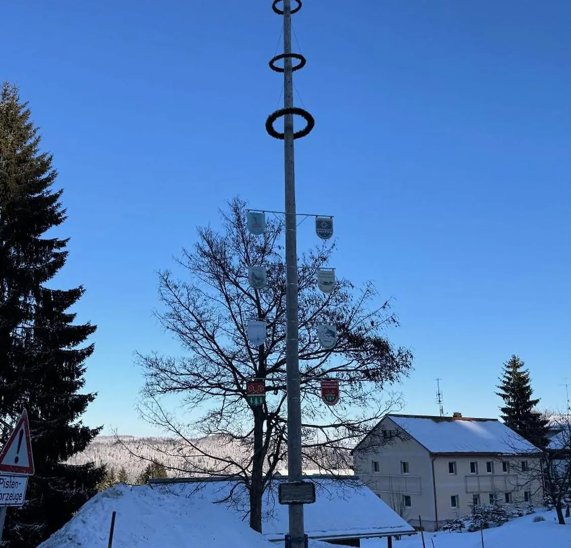 Mitterdorf Almberg X29 Lejlighed Mitterfirmiansreut