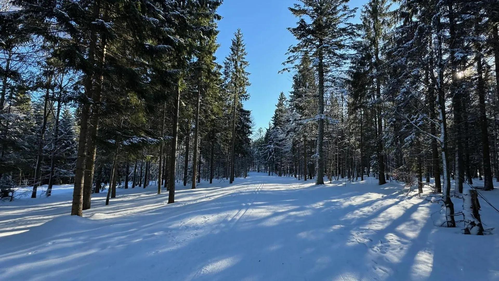 Mitterdorf Almberg X29 Lejlighed Mitterfirmiansreut 0*,  Tyskland
