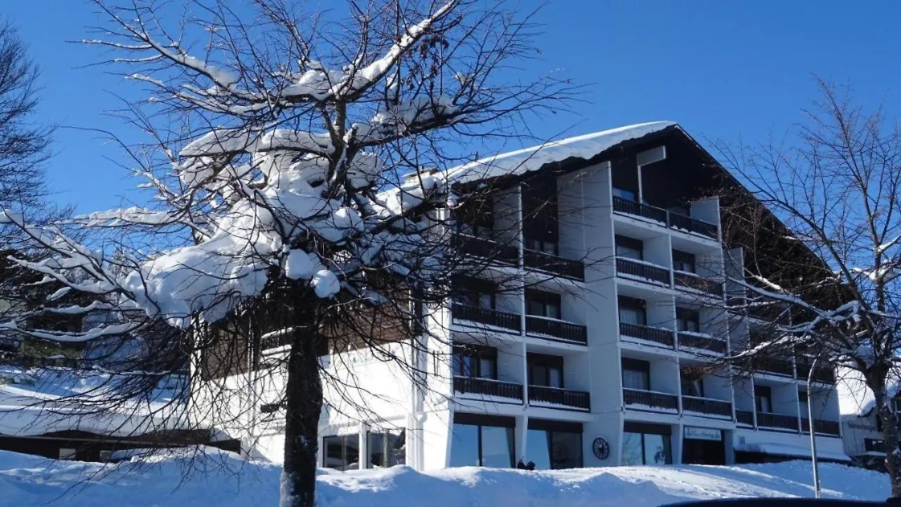Mitterdorf Almberg X29 Lejlighed Mitterfirmiansreut
